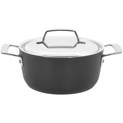 Demeyere Alu Pro5 Aluminum Nonstick Dutch Oven with Lid Best Pots