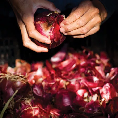 Creamy Red Onion Soup with Thyme