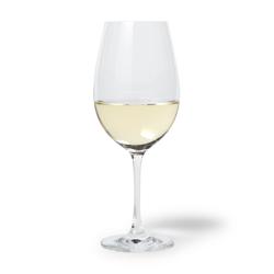 Sur La Table Chateau Full White Wine Glass