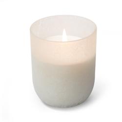 Sur La Table Tuberose Gardenia Candle