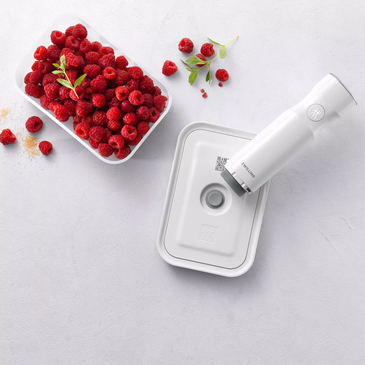 Zwilling Fresh & Save Small Vacuum Lunch Box, Plastic