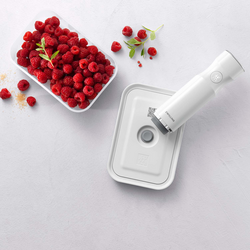 Zwilling Fresh & Save Small Vacuum Lunch Box, Plastic