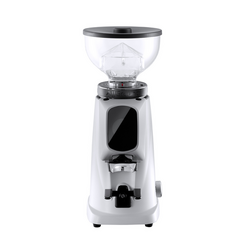 Fiorenzato Allground All Purpose Home Coffee Grinder