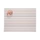 Pink Picnic Placemats
