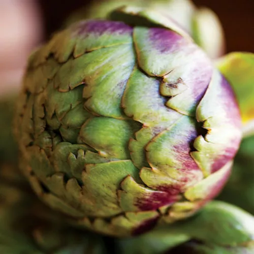 Stuffed Artichokes with Pine Nuts and Currants