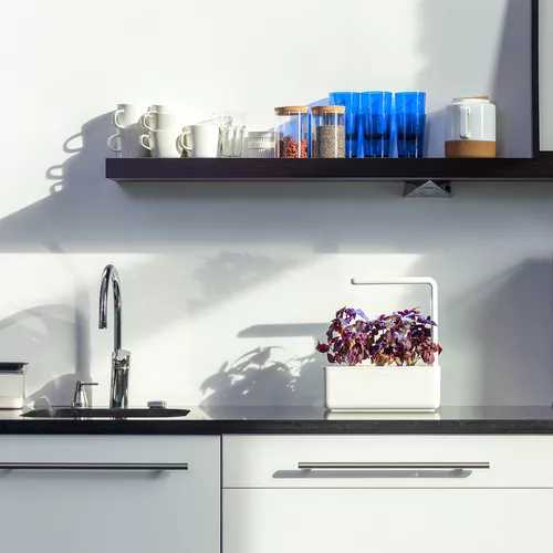 Click And Grow Smart Garden 3