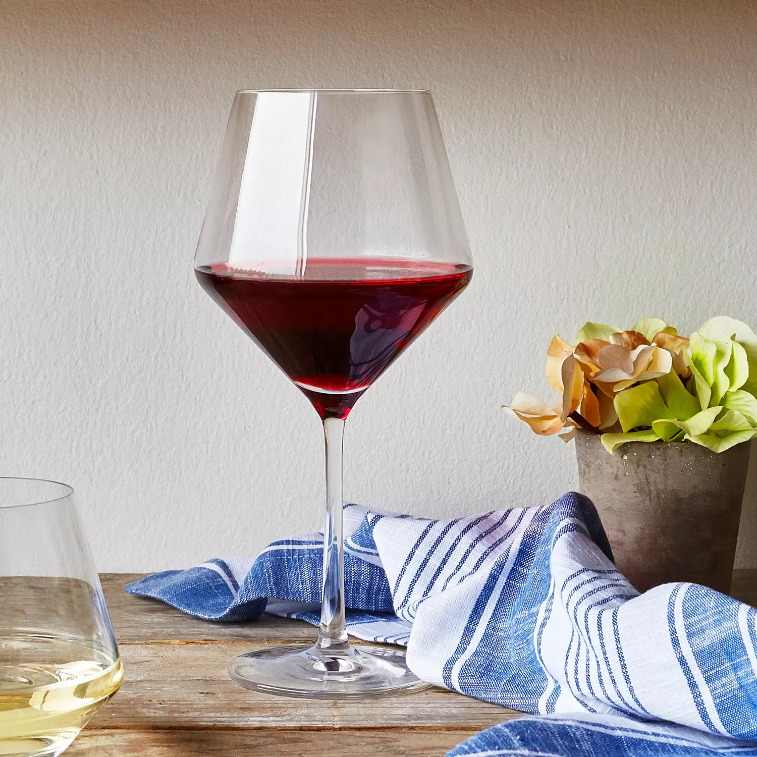 Schott Zwiesel Pure Light-Bodied Red Wine Glasses