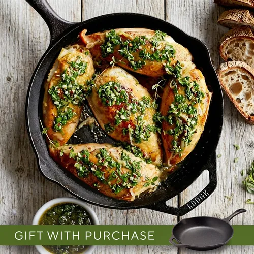 Cast-Iron Cooking + 10" Lodge Cast-Iron Skillet
