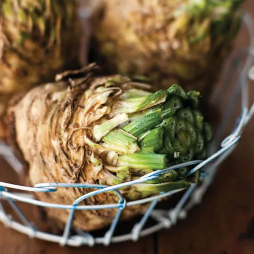Celery Root and Mushroom Soup