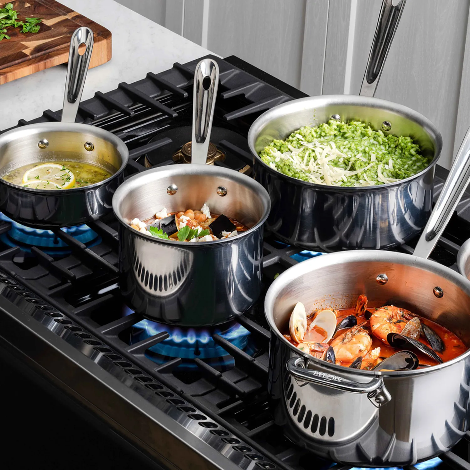 All-Clad D3 Stainless Steel Saucepan with Lid