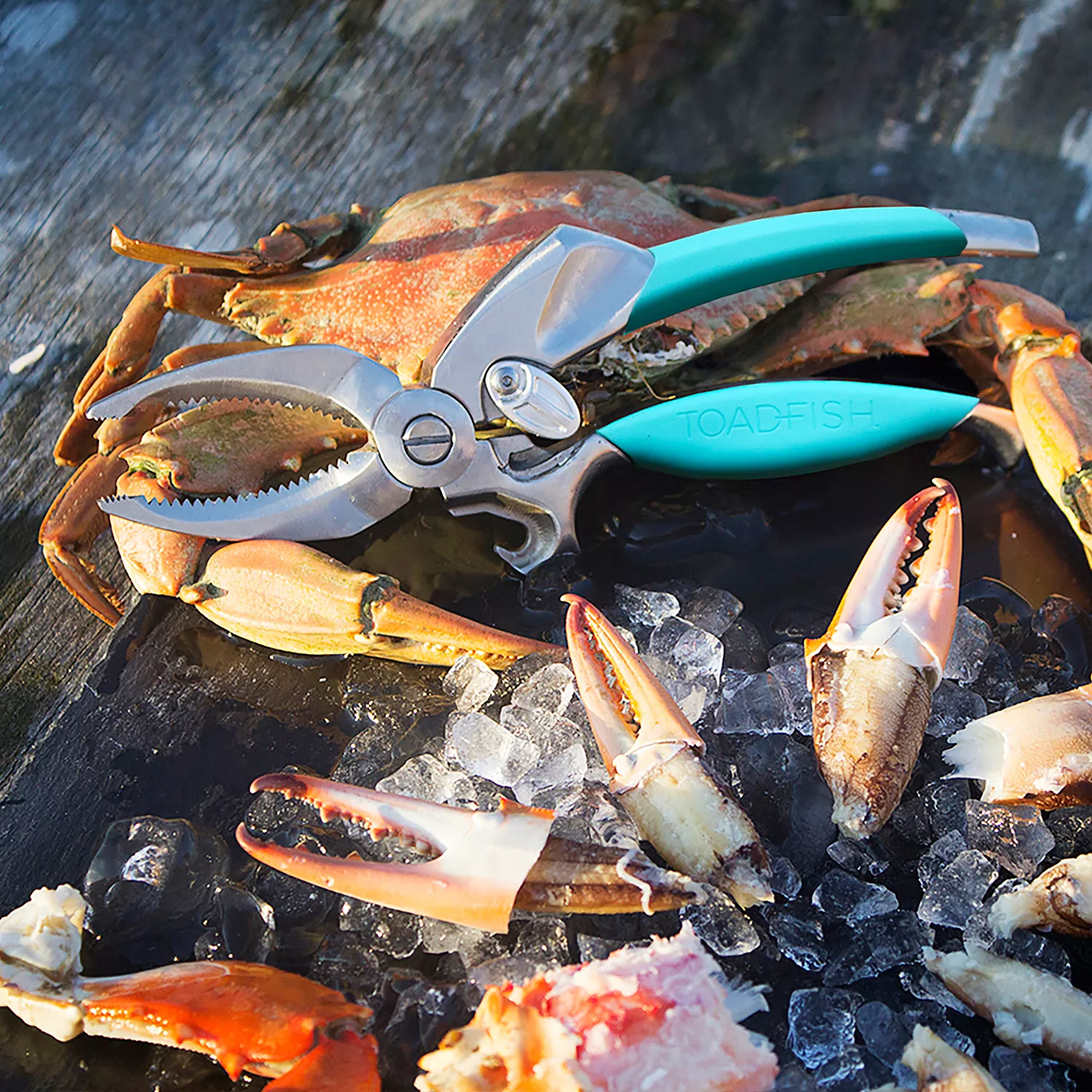 Toadfish Crab Claw Cutter