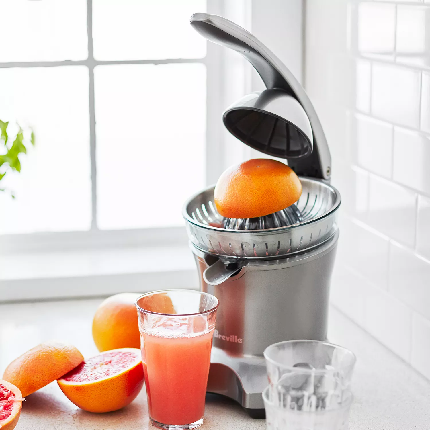 Breville Stainless Steel Electric Citrus Juicer Press + Reviews