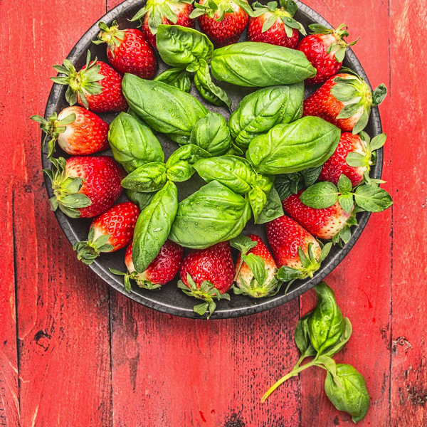 Strawberry Basil "Sorbet"