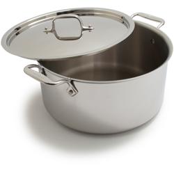 All-Clad Stainless Steel Stockpot, 8 qt.