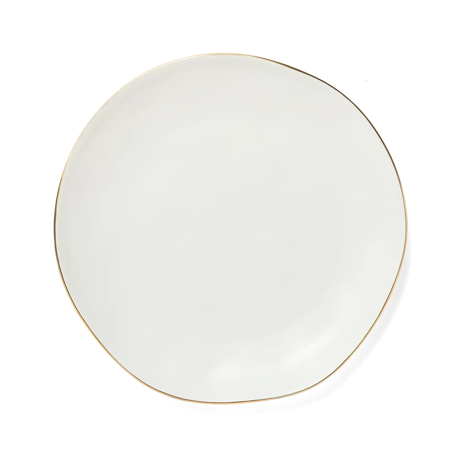 Sur La Table Gold Rimmed Dinner Plate