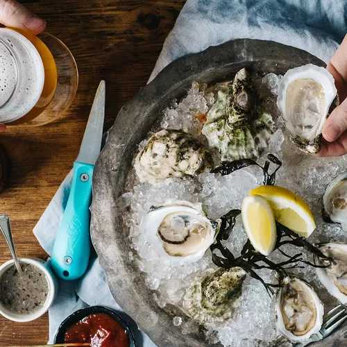 Toadfish Outfitters Oyster Knife