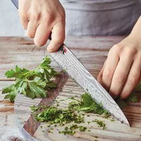 Knife Skills 101