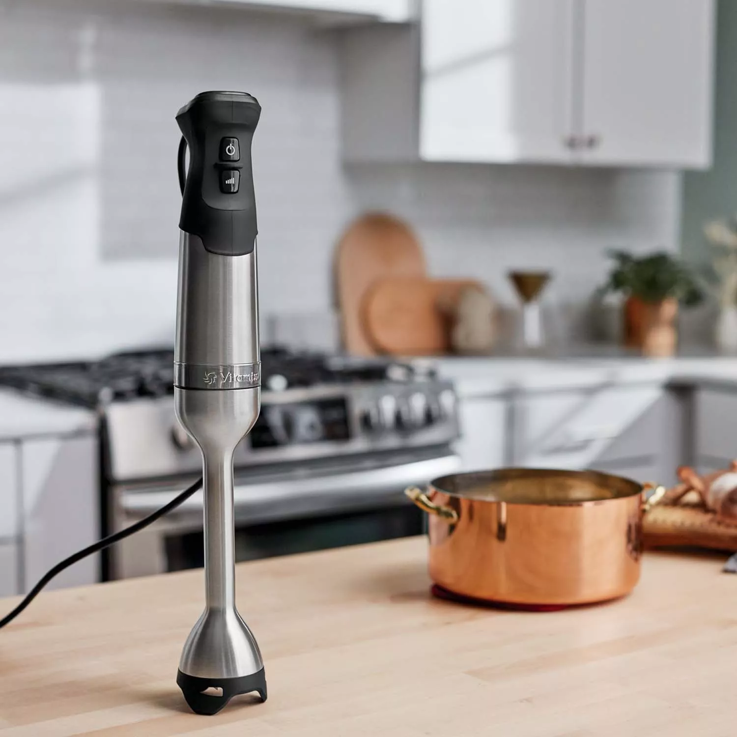 Vitamix 5-Speed Immersion Blender