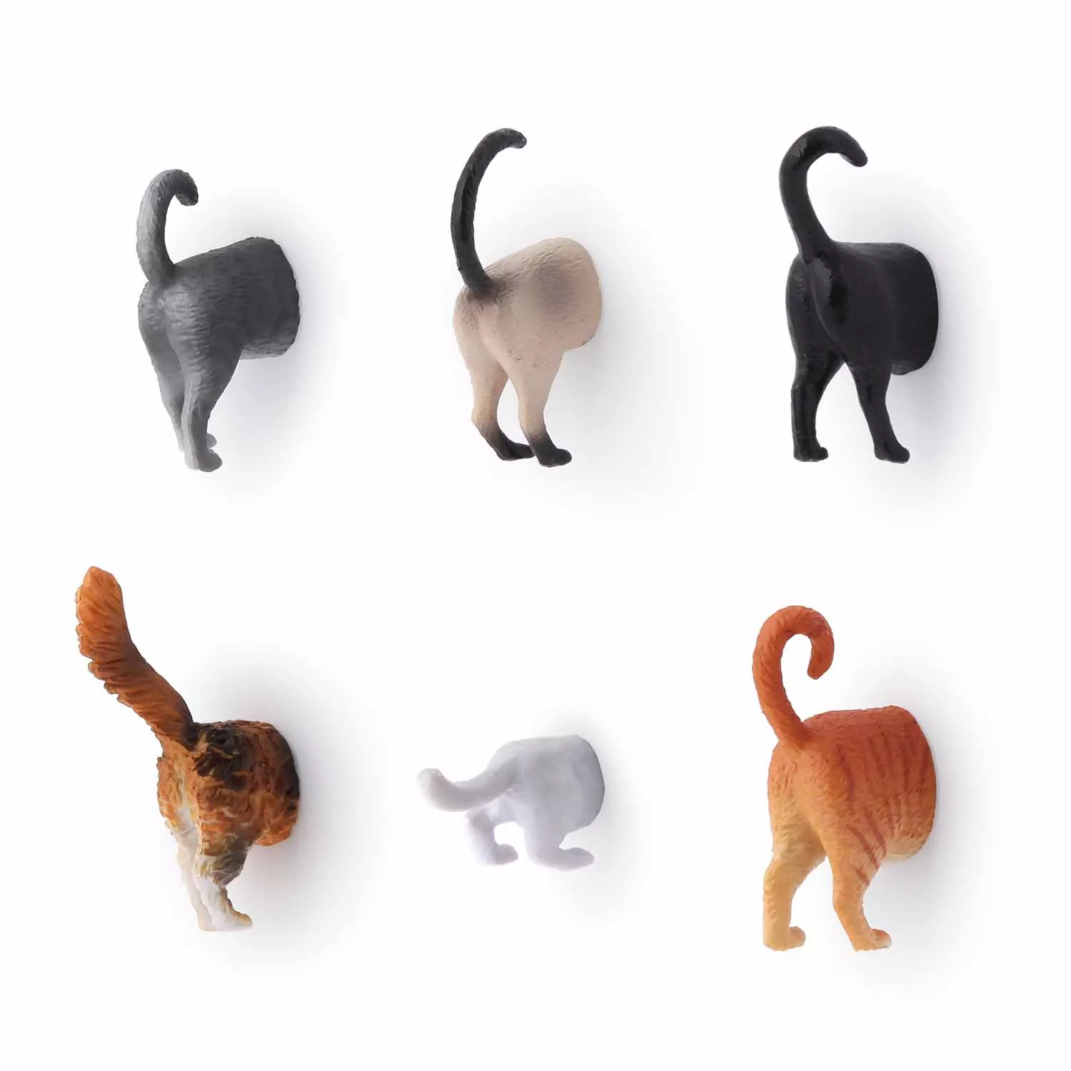 Kikkerland Cat Booty Magnets, Set of 6