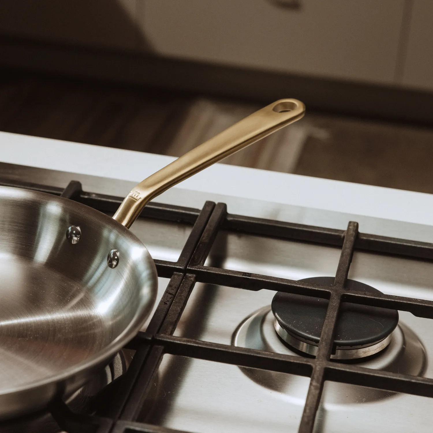 Made In Stainless Clad Skillet