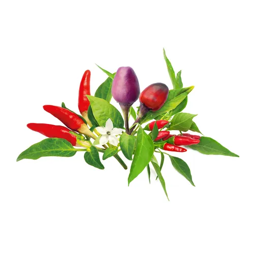 Click and Grow Plant Pods, 9 Pack