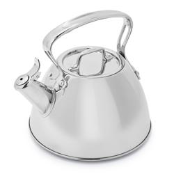 All-Clad Stainless Steel Tea Kettle Best in class