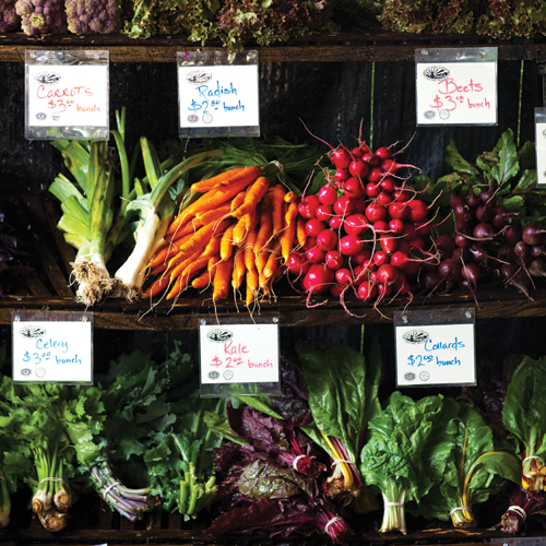 Eating Local: Making the Most of Your CSA