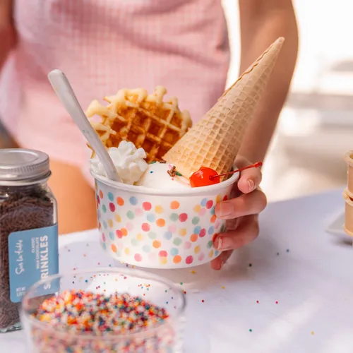 Sur La Table Melamine Ice Cream Bowls, Set of 4