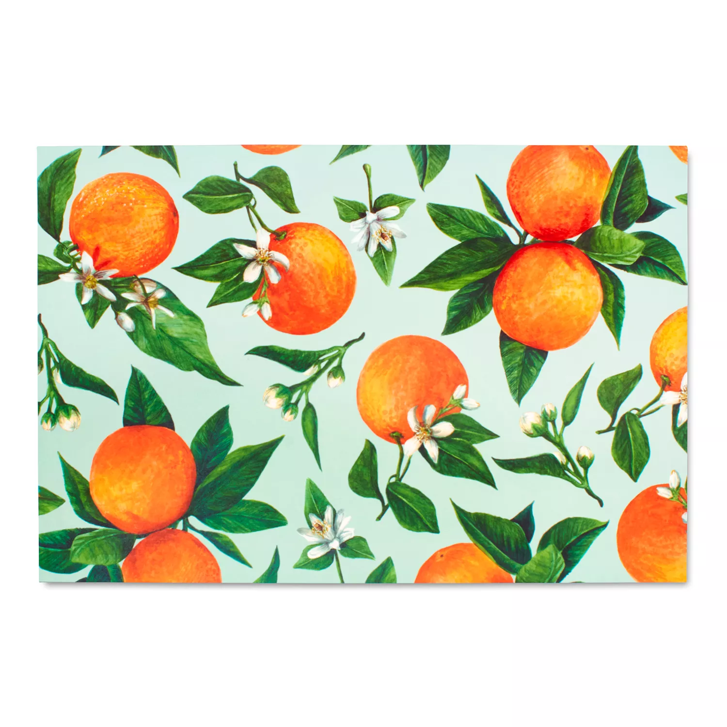 Hester & Cook Orange Orchard Placemats, Set of 24