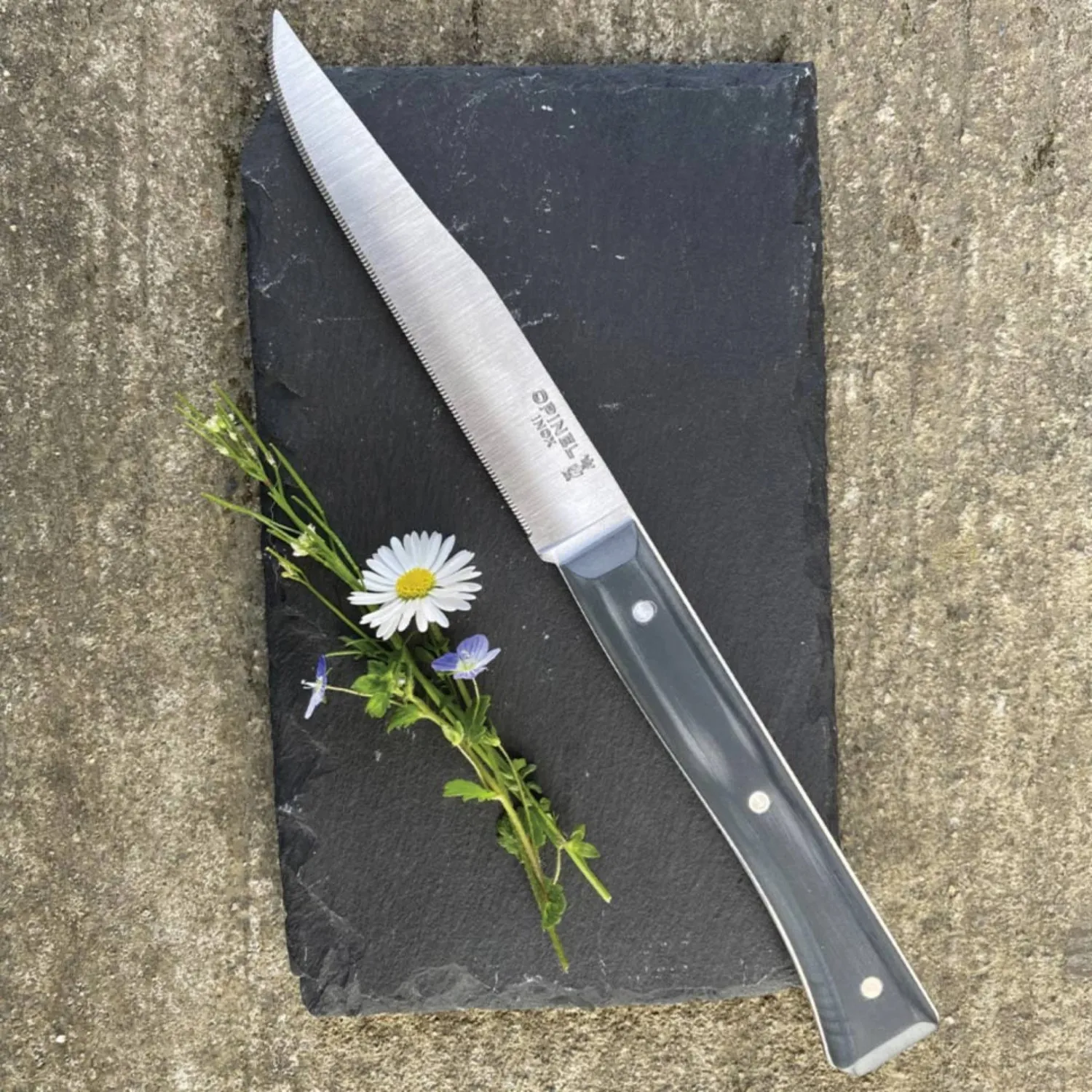 Opinel Facette Micro-Serrated 4-Piece Steak Knife Set