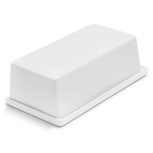 Sur La Table Porcelain Butter Dish