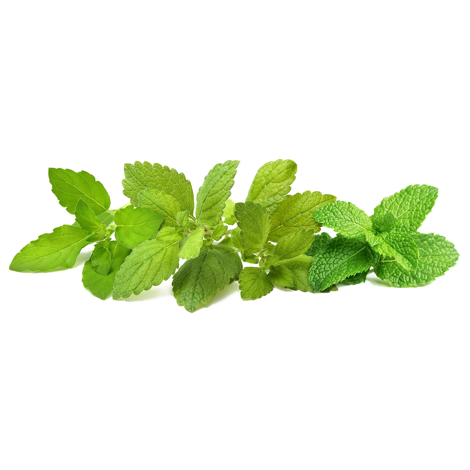 Click and Grow Plant Pods, 9 Pack