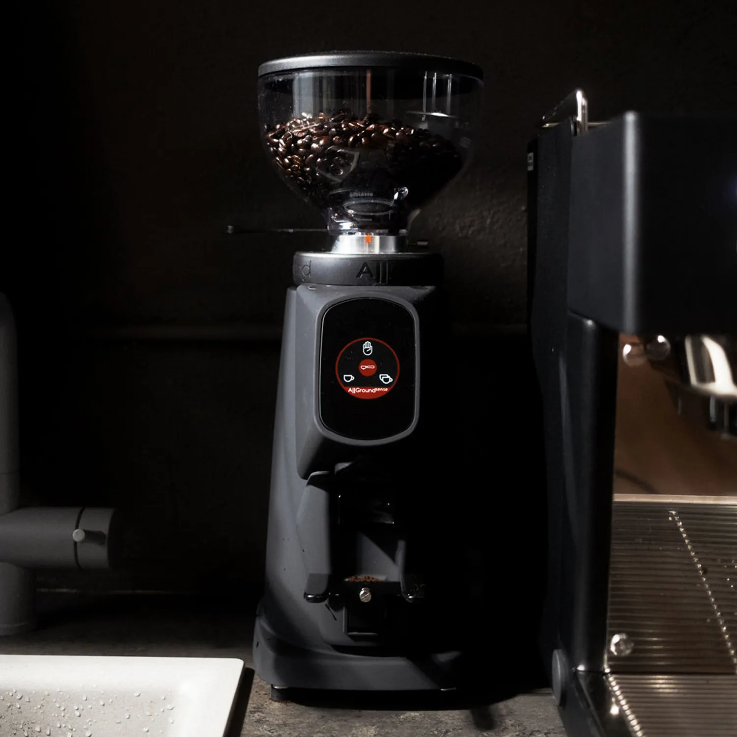 Fiorenzato Allground Sense All-Purpose Home Espresso Grinder