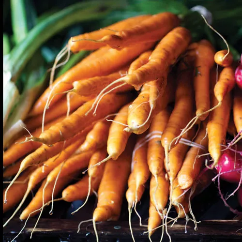 Eating Seasonally Made Easy: Root Vegetables