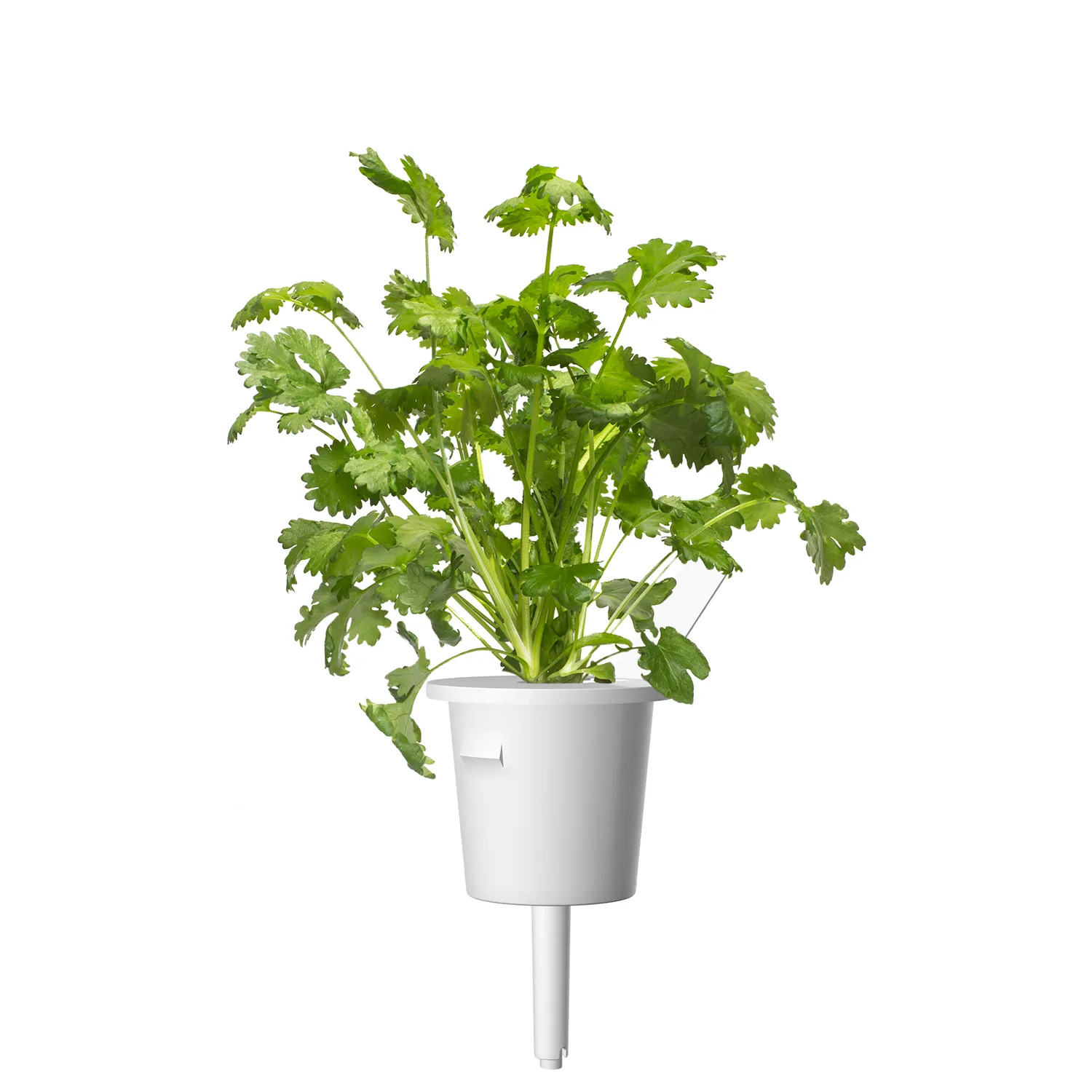 Click and Grow Plant Pods, 9 Pack