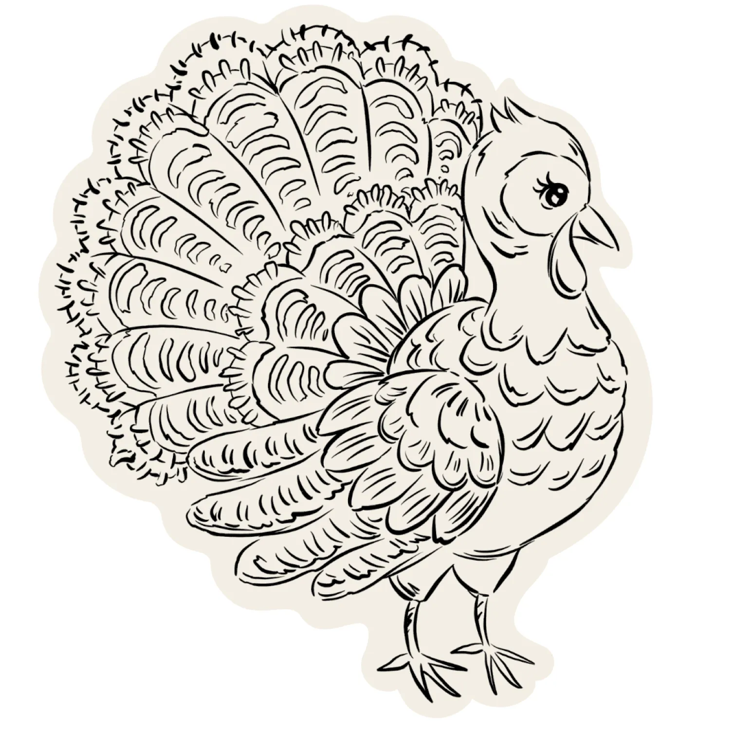 Sur la table Turkey Color-In Placemat, Set of 12