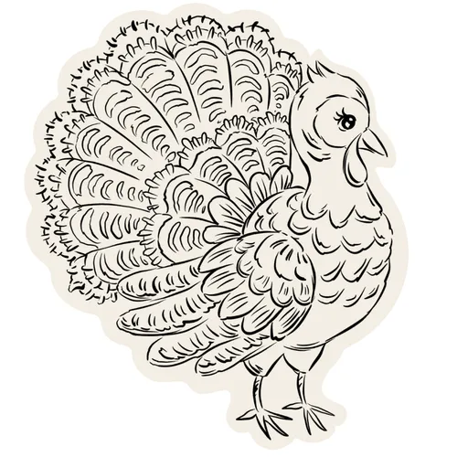Sur la table Turkey Color-In Placemat, Set of 12
