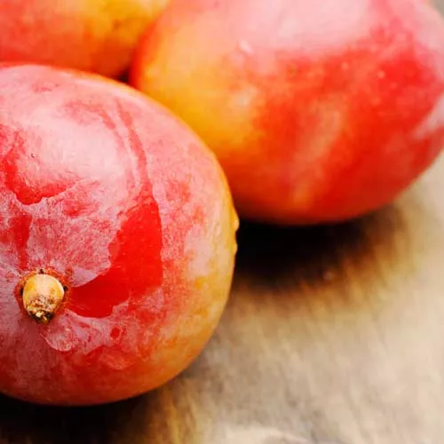 Grilled Mango Dessert Quesadillas