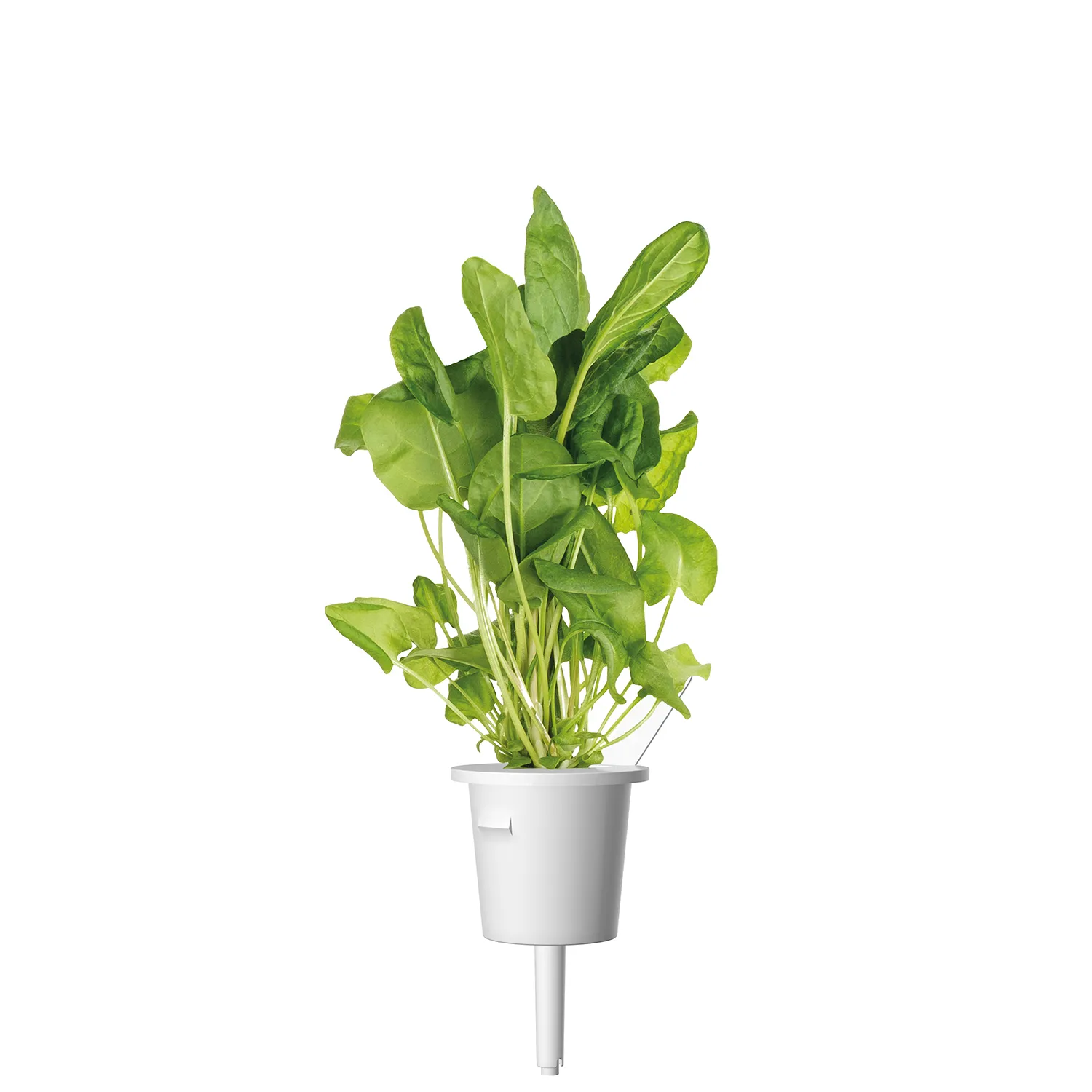 Click and Grow Plant Pods, 9 Pack