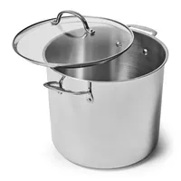 Sur La Table Classic 5-Ply Stainless Steel Stockpot, 8 qt., Silver