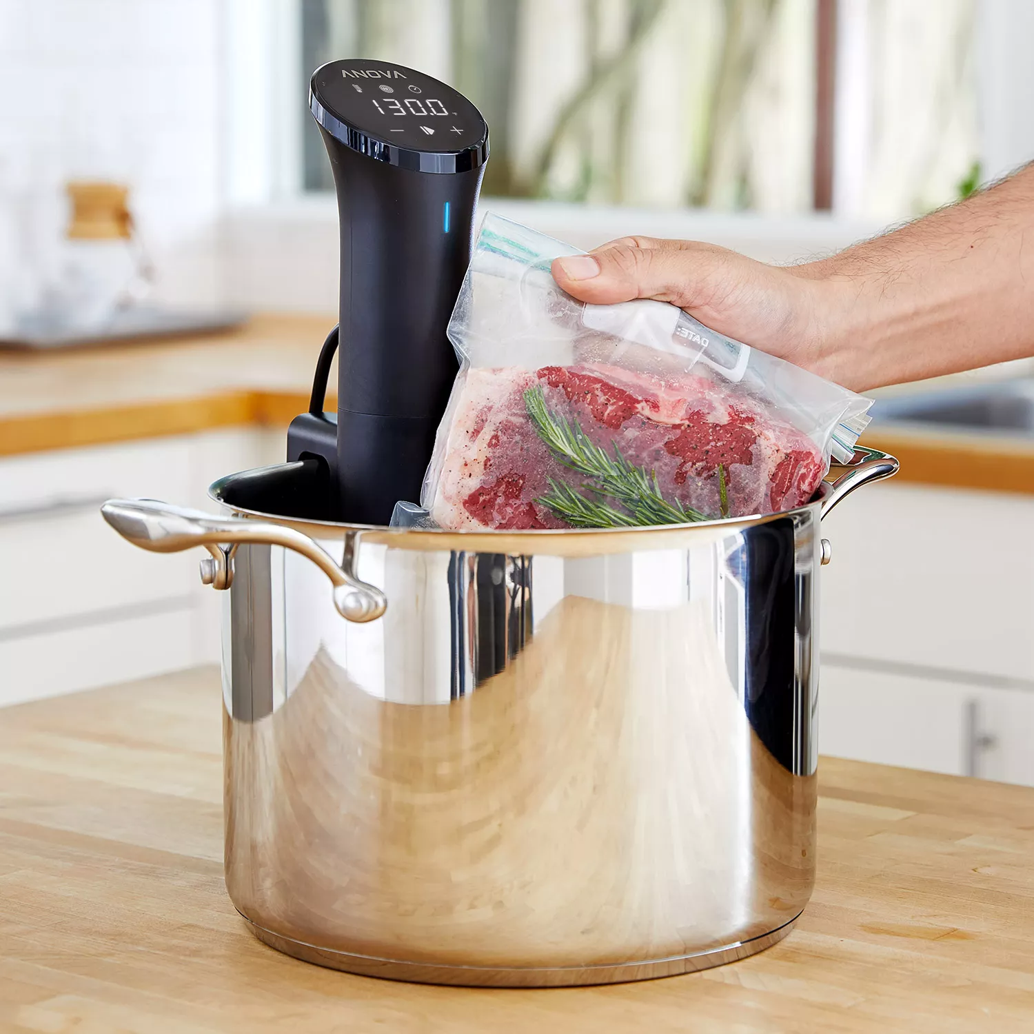 Anova Precision® Cooker Nano 3.0