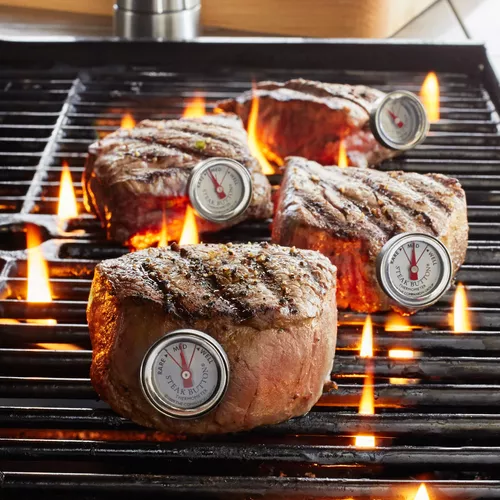 Sur La Table Stainless Steel Steak Button Thermometers