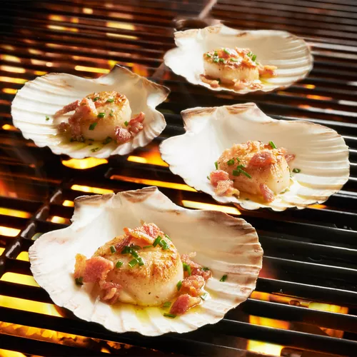 Sur La Table King Scallop Grilling Shells, Set of 4