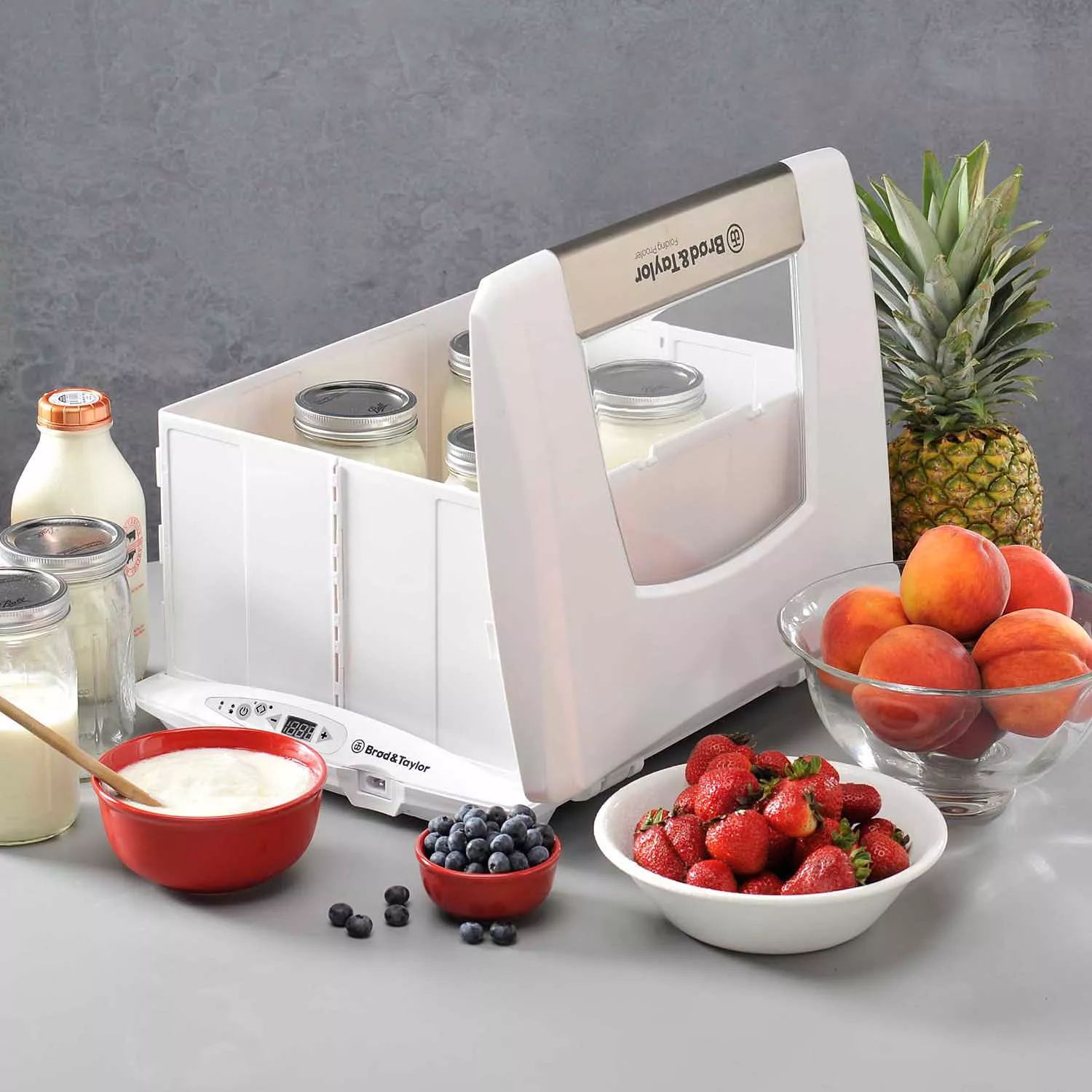 Br&#248;d & Taylor Folding Proofer & Slow Cooker