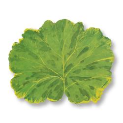 Caspari Cabbage Leaf Placemats, Set of 12