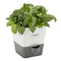 Cole & Mason Self-Watering Indoor Herb Garden Planter