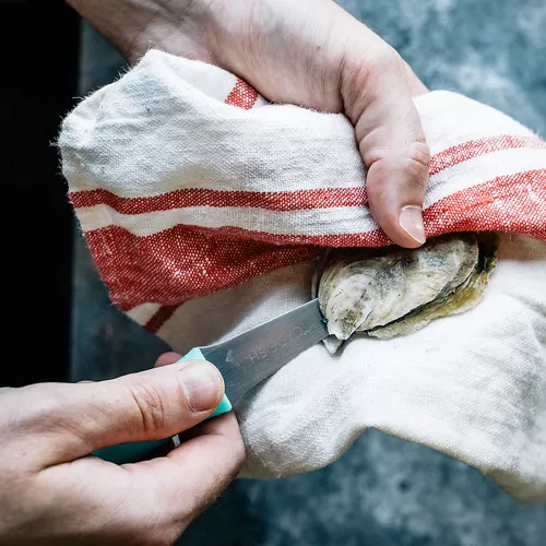 Toadfish Outfitters Oyster Knife