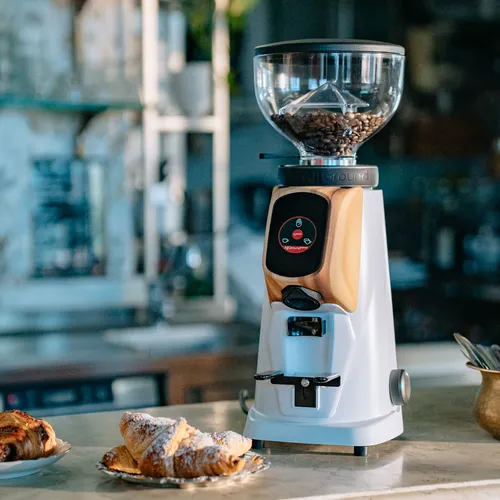Fiorenzato Allground Sense All-Purpose Home Espresso Grinder