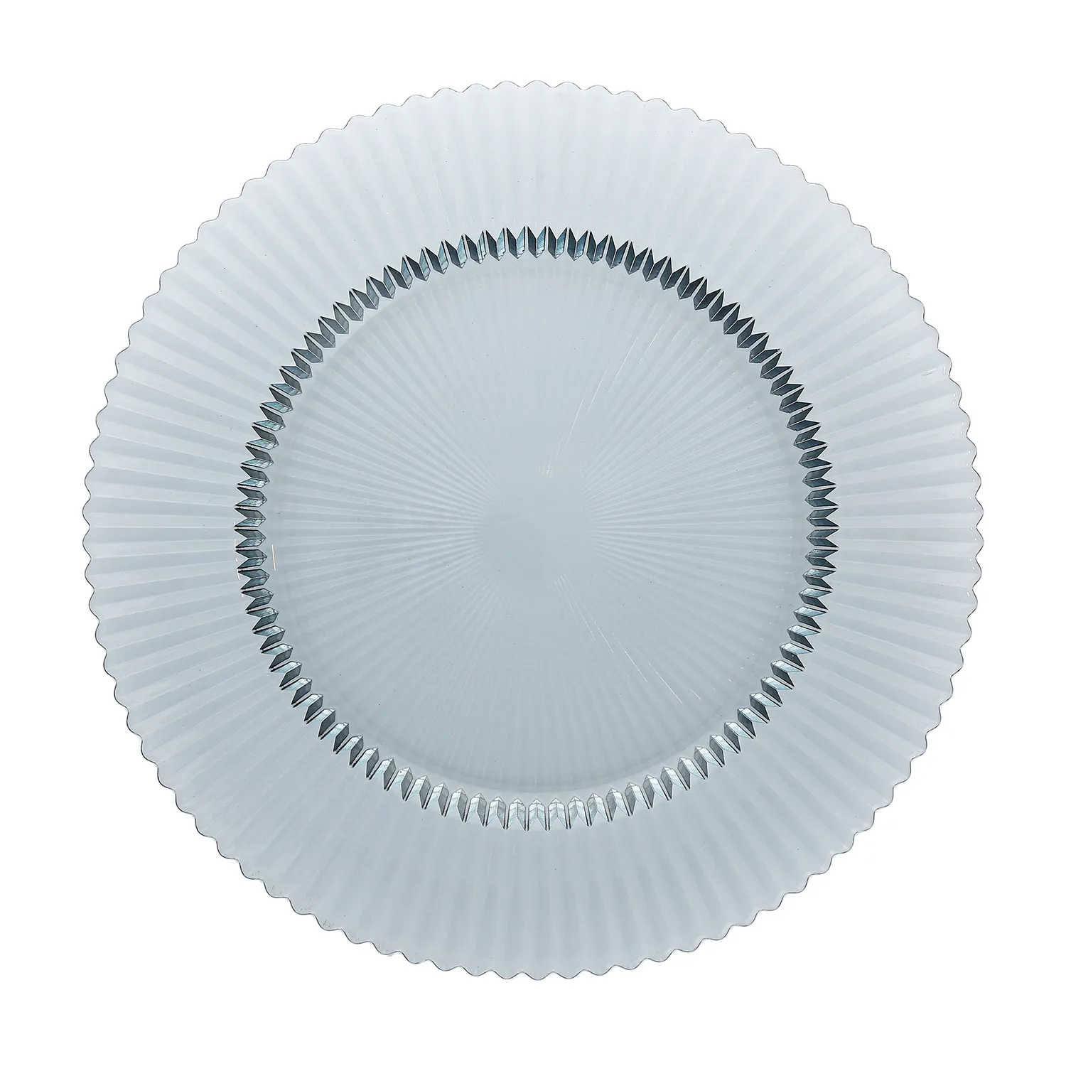 Fortessa Archie Chargers, Set of 4