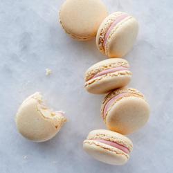 Mastering French Macarons